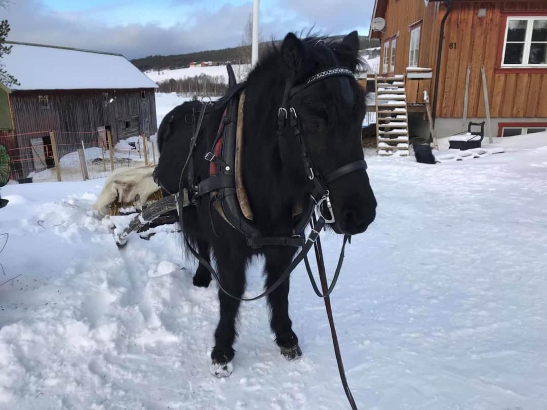 Os (Hedmark) Fantgrenda Overnatting 아파트 외부 사진